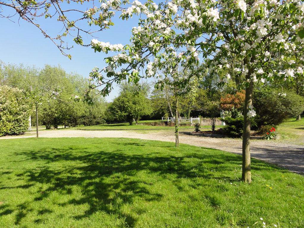 La Ferme aux Saules pauline diaporama Fête de départ en retraite Arbre de Noël Soirée La Ferme aux Saules pauline diaporama Fête de départ en retraite Arbre de Noël Soirée